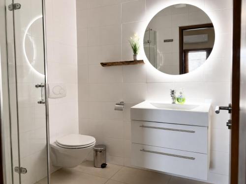 a bathroom with a toilet and a sink and a mirror at JeVakantie Spanish Water Apartments B7 and C8 with Infinity Pool near Jan Thiel in Willemstad