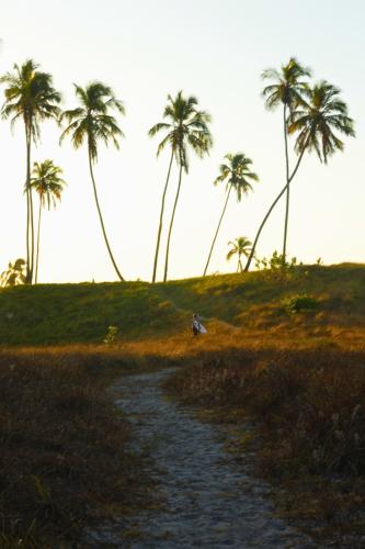 a dirt road with palm trees on a hill at Canto da Onda - Trilha exclusiva para a praia in Marechal Deodoro
