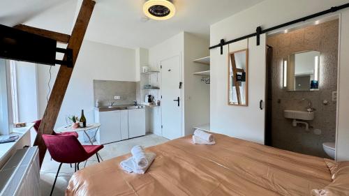 a bedroom with a large bed and a bathroom at Stationbeds Studio-2 Alkmaar in Alkmaar