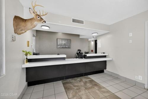 a bathroom with two sinks and a deer head on the wall at Super 7 inn in Joplin