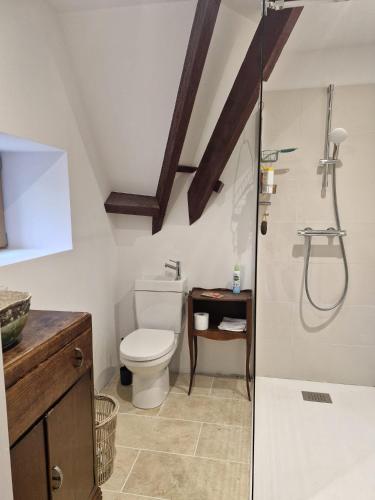 a bathroom with a toilet and a shower in it at La Chaumière in Fréhel