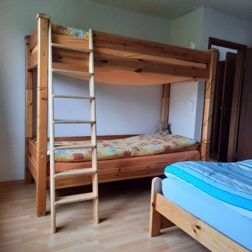 a bunk bed with a ladder next to a bunk bed at Kulumheide in Löwenstedt