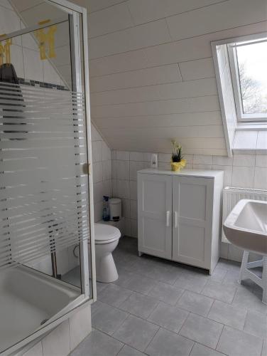 a bathroom with a toilet and a sink and a shower at Kulumheide in Löwenstedt