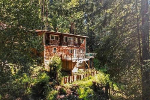 a house in the middle of a forest at Evergreen Escape in Felton