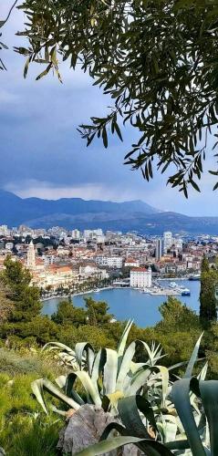 Apartman Đemi Split