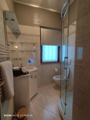 a bathroom with a shower and a sink and a toilet at Casa In Fiore in Mese