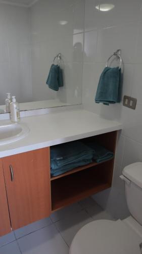 a bathroom with a sink and a toilet and a mirror at Departamento Centro Concepción in Concepción