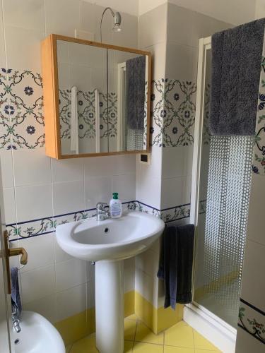 a bathroom with a sink and a shower at Villa 4 Rose in Sant'Angelo D'Ischia