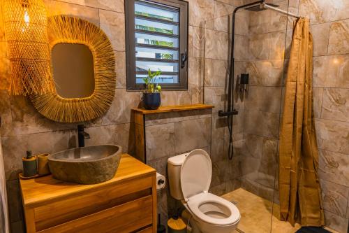 a bathroom with a sink and a toilet and a shower at Les Clos de L Albatros in Saint-Paul