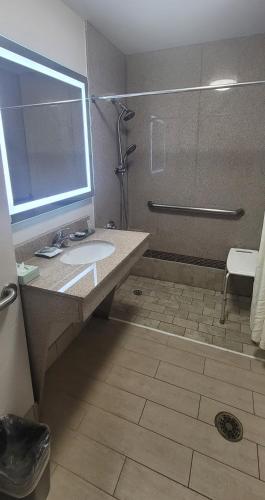 a bathroom with a sink and a shower at Kemah Edgewater Hotel, SureStay Collection by Best Western in Seabrook