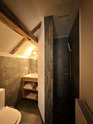 a bathroom with a shower and a toilet and a sink at TimHouse in Timişoara