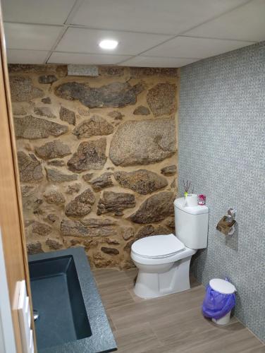 a bathroom with a stone wall with a toilet at Casa rústica busto in Armentera