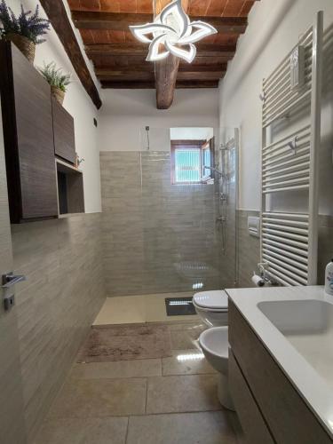 a bathroom with a toilet and a shower and a sink at Casetta di pisolo in Pistoia
