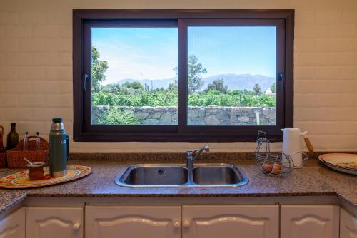 a kitchen counter with a sink and a window at Finca El Recreo in Cafayate