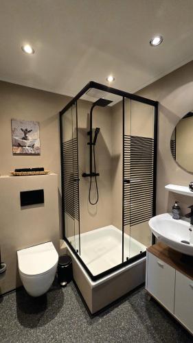a bathroom with a shower and a toilet and a sink at Ferienwohnung Pollig in Rech