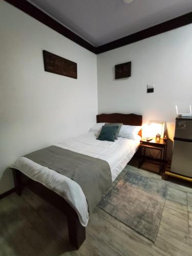 a bedroom with a large bed in a room at Cozy Studio Rohrmoser in San José