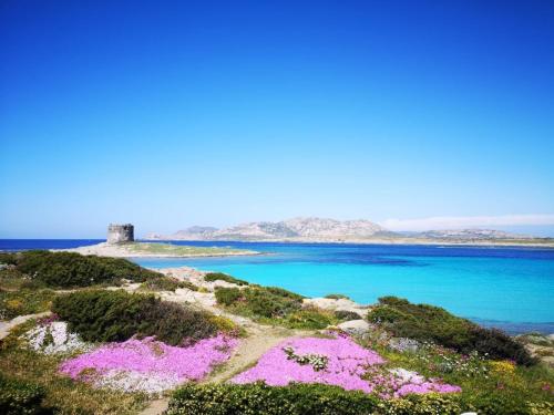 a lighthouse on top of a hill with pink flowers at Il Mascone in Stintino