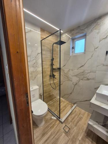 a bathroom with a toilet and a glass shower at 5 Suites Αγιόκαμπος Αγίας in Agiokampos
