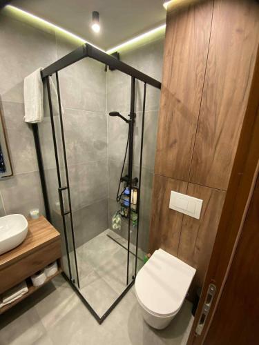 a bathroom with a shower with a toilet and a sink at Kuca za odmor Moj Mir in Kalesija
