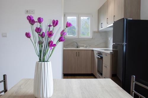 Antonis apartments