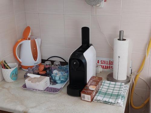a kitchen counter with a toaster and other items on it at Pagoda Vendégház in Hajdúdorog