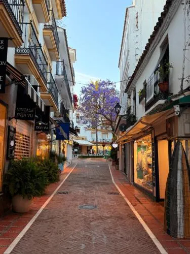 Marbella Le Normandy photo 54