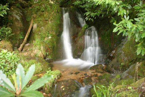 a waterfall in the middle of a forest at Corriegour Lodge Hotel in Spean Bridge
