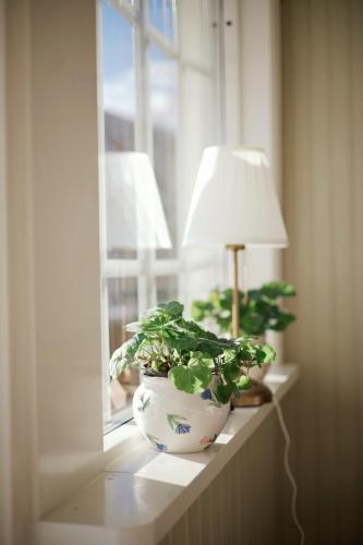 a plant sitting on a window sill next to a lamp at Storgatan 30 i centrala Vimmerby in Vimmerby