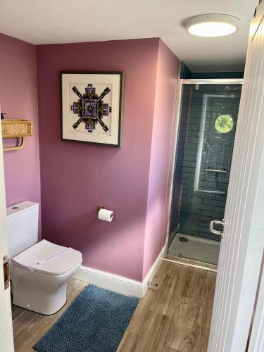 a bathroom with a toilet and a walk in shower at The Dome at Midauchengowan in Lochwinnoch