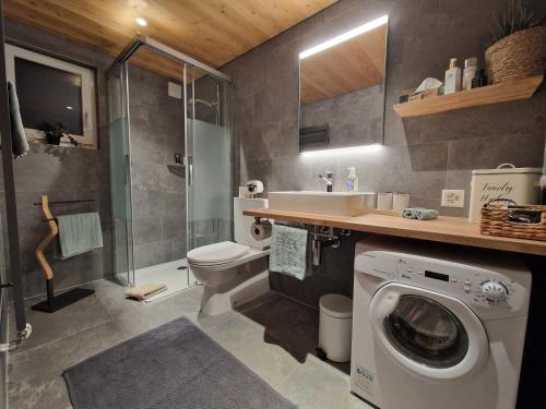 ein Badezimmer mit Toilette, Waschbecken und Waschmaschine in der Unterkunft Viewpoint in Ringgenberg