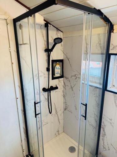 a shower with a glass door in a bathroom at VRBNIK OLD CITY LOFT in Vrbnik