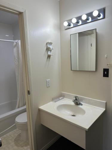 a bathroom with a sink and a mirror and a toilet at Auberge Eldo Inn in Blind River