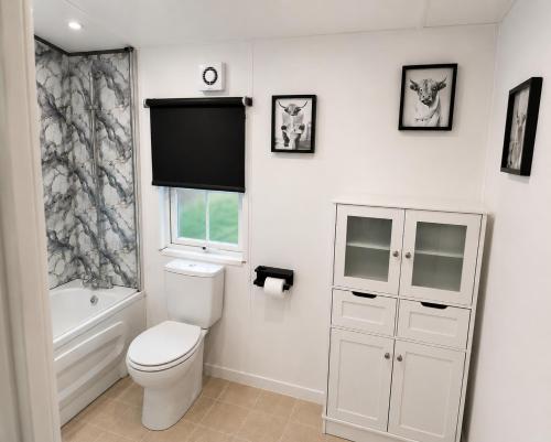a bathroom with a toilet and a television on the wall at Brae Lodge Dollar in Dollar