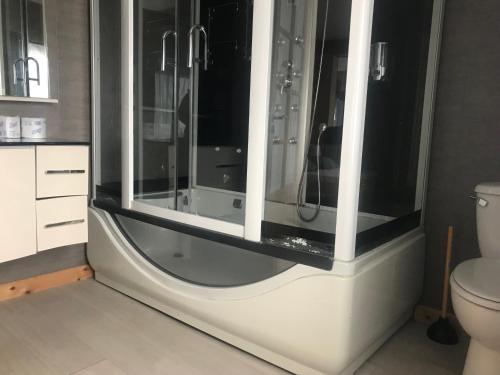 a bathroom with a glass shower with a toilet at Loc Appart SPM in Saint-Pierre