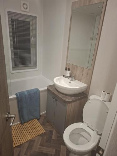 a bathroom with a white toilet and a sink at Crescent Lodge in Forton