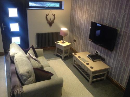 Pen Coed Cwtch Apartment في ساندرزفوت: غرفة معيشة مع أريكة وتلفزيون
