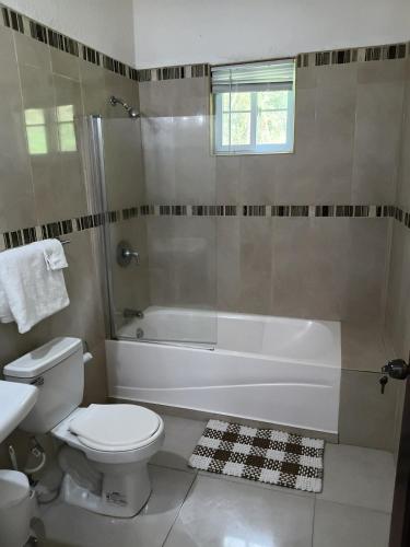 a bathroom with a toilet and a tub and a sink at Gorgeous One Bedroom Apartment in Kingston
