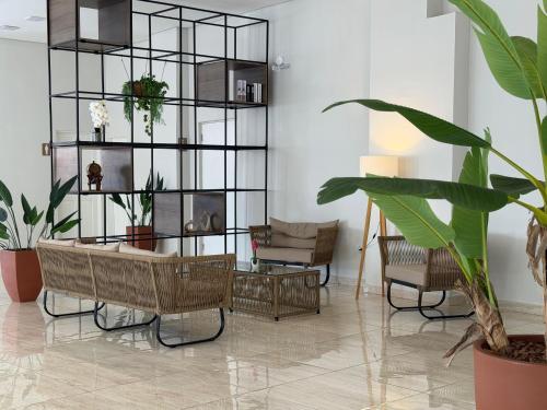 a living room with chairs and a shelf with plants at Hotel Roma in São Sebastião