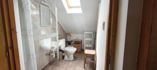 a small bathroom with a toilet and a sink at Rigófészek Apartmanház in Gárdony