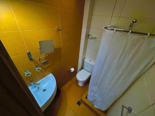 a bathroom with a white shower curtain and a toilet at Hostel Hotzenplotz Alegre in Valparaíso