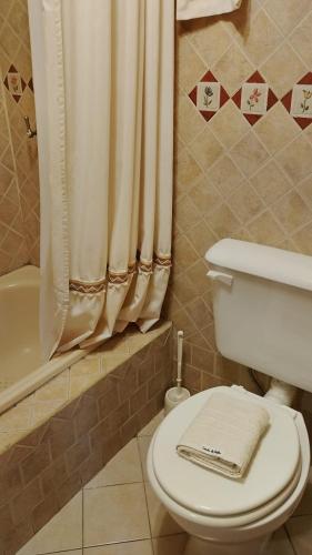 a bathroom with a toilet and a shower curtain at Casita de Belén in Merlo
