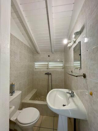 a white bathroom with a sink and a toilet at Corossole in Bouillante