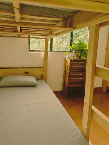 a bedroom with a bunk bed and a plant at Hostal Tribu Malinalco in Malinalco