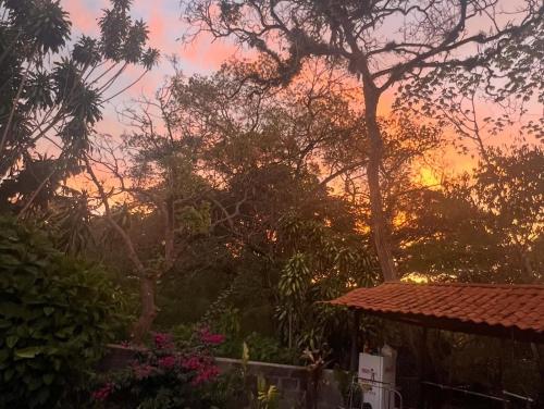 a sunset over a garden with trees and flowers at Blue Palm Bed & Breakfast in Barrio Jesús