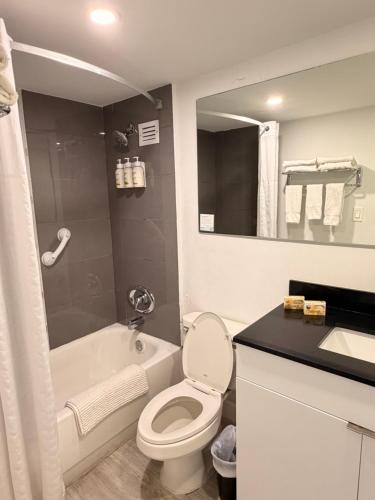 a bathroom with a toilet and a sink and a mirror at Ocean front Condo with balcony on the beach in Sunny Isles Beach
