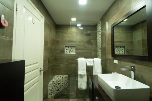 a bathroom with a sink and a mirror at Central 2 bed Apt near Devon House in Kingston