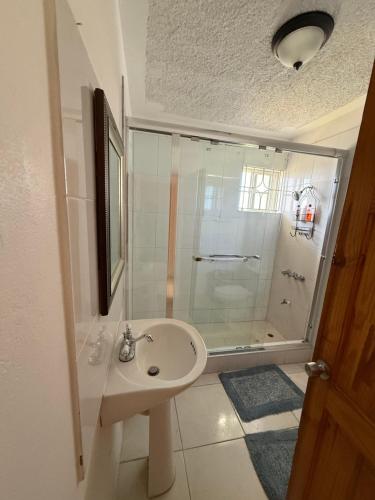 a bathroom with a sink and a shower at Oceanview Retreat - 3 bedroom in Bull Bay