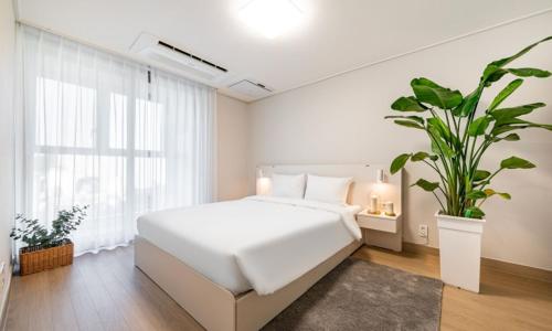 a bedroom with a white bed and a potted plant at Archieve 4H hotel Busan in Busan