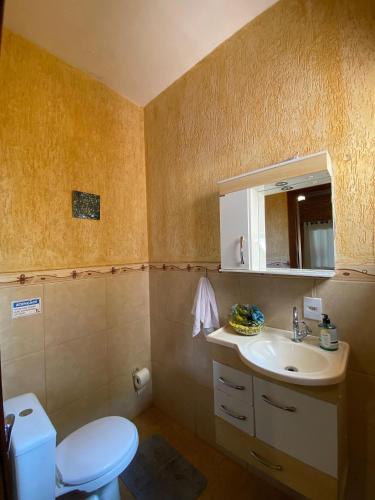 ein Badezimmer mit Toilette und Waschbecken in der Unterkunft Cantinho Rústico Brotas SP + Piscina Privativa + Ar Condicionado in Brotas