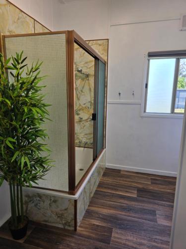 a glass shower in a room with a potted plant at The Crab Shack in Boonooroo